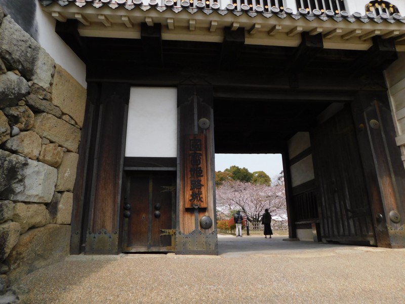 Castel Himeji and sakura
