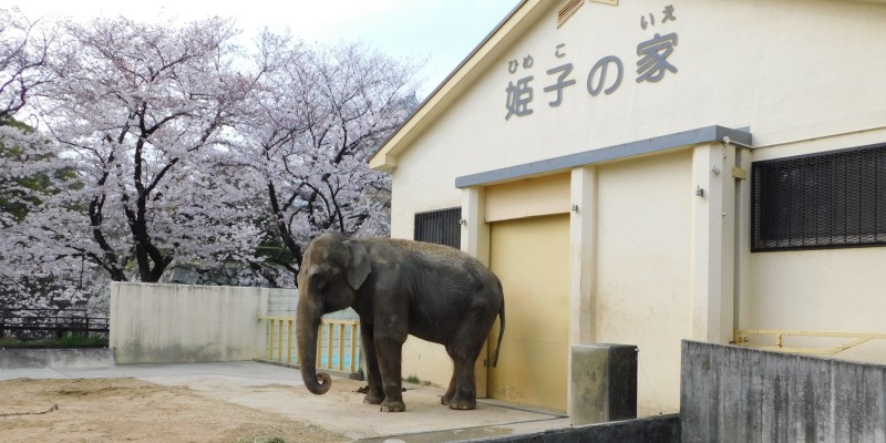 Himeji city zoo