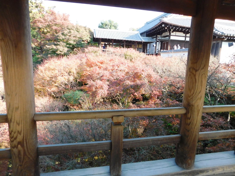 Autumn Leaves Tofukuji