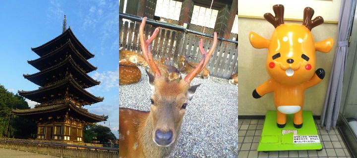 奈良公園 奈良観光