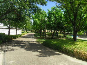 扇町公園