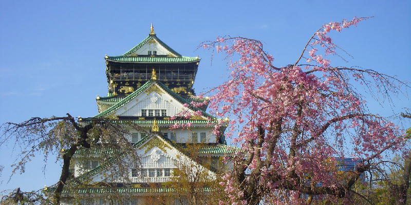 Cherry blossoms, peach, plum and Osaka castel