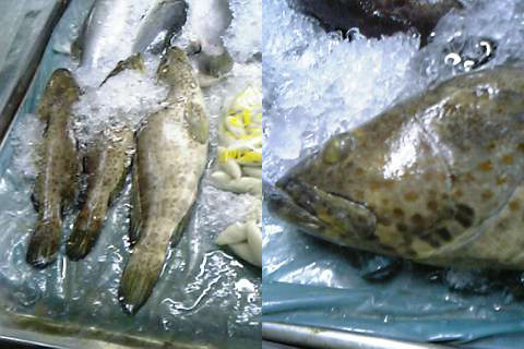タイの市場 デカイ魚